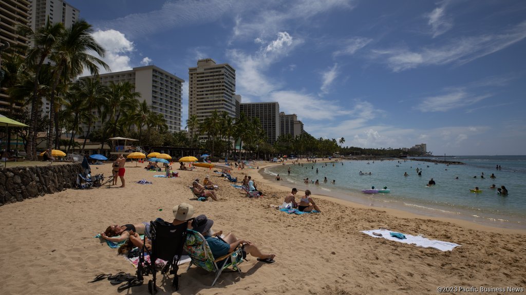 Pineapple Awards 2023