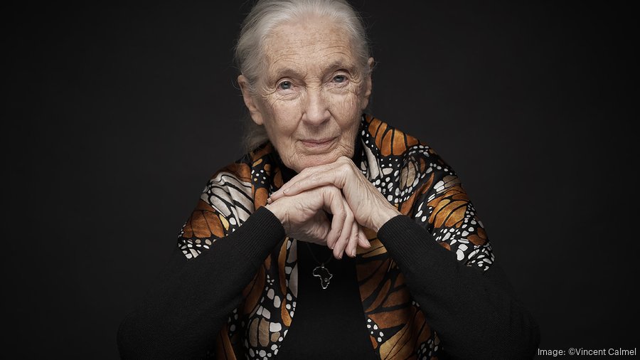 Jane Goodall to speak in Tampa, selects city for Roots & Shoots USA