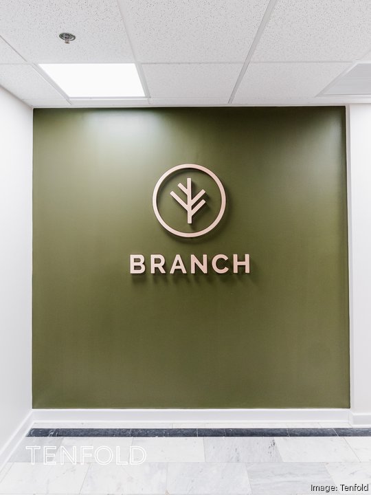 BRANCH TENFOLD 15