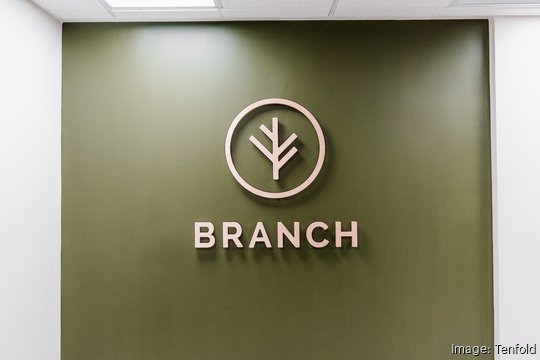 BRANCH TENFOLD 15