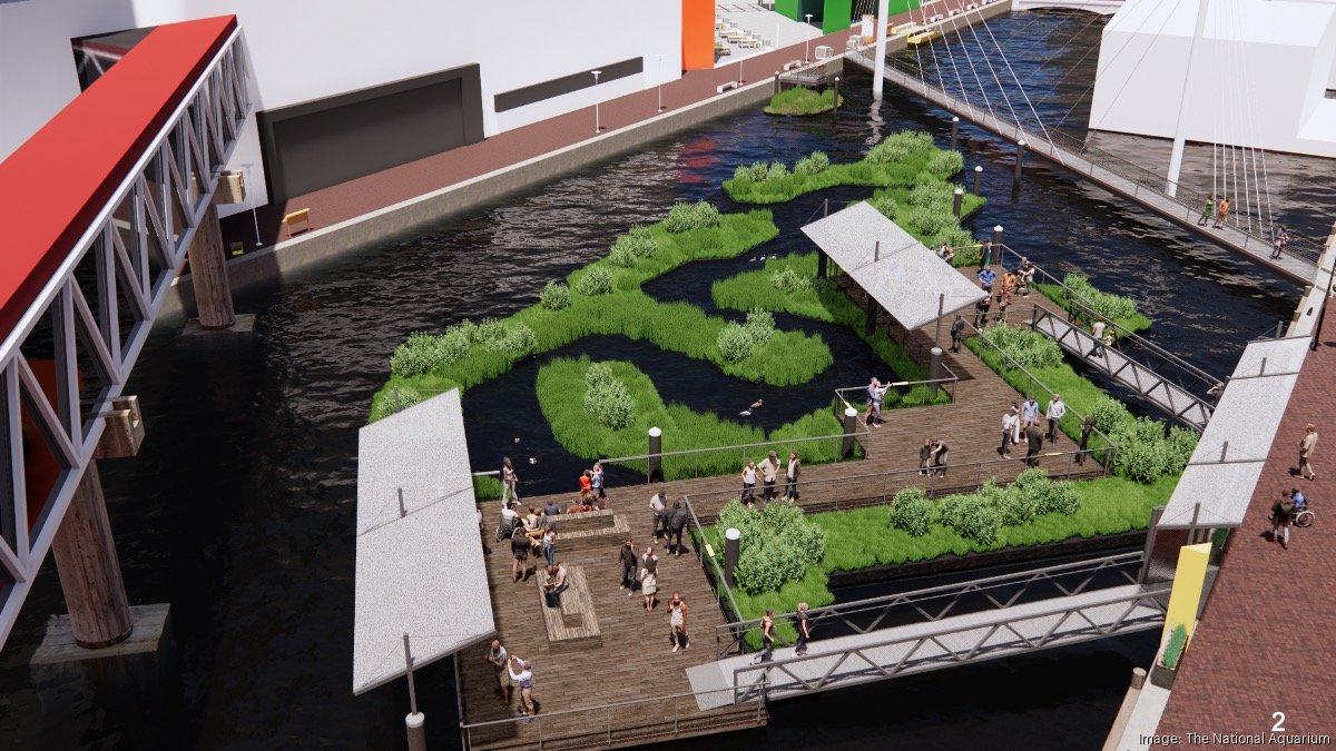 national-aquarium-s-floating-wetland-project-back-on-track-for-mid-2024