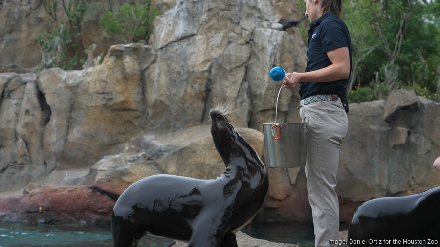 Houston Zoo opens Galápagos Islands exhibit (photos) Houston Business Journal