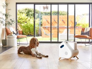 Companion Labs device with a Dog