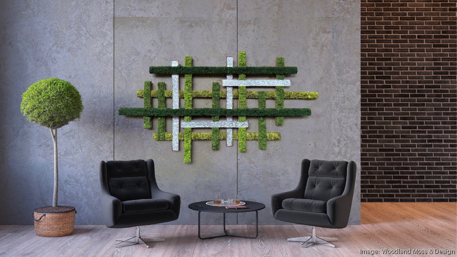 Build Your Live Moss Wall Art