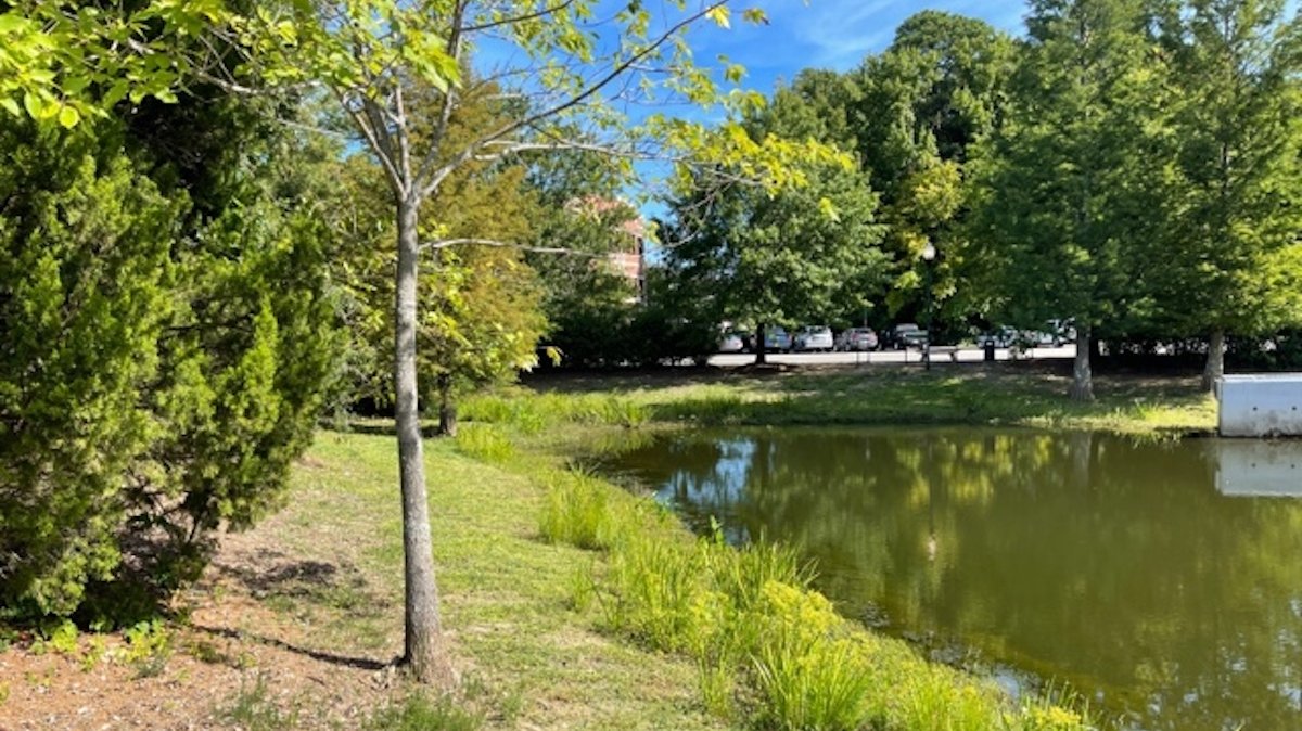 How you can help improve Denver water quality Denver Business Journal