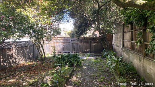 Neon backyard 'oasis' 1974 Union St.