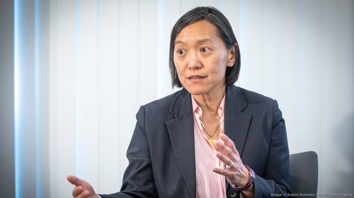 CHIPS Act funding for WMass, and Hao's other ideas for statewide economic growth Boston