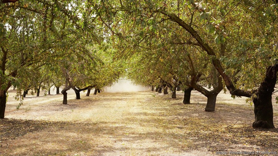 Almond Board of California, Land IQ release 2023 acreage estimate