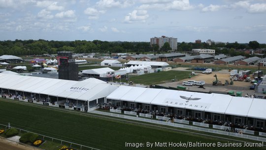 Preakness Black Eyed Susan