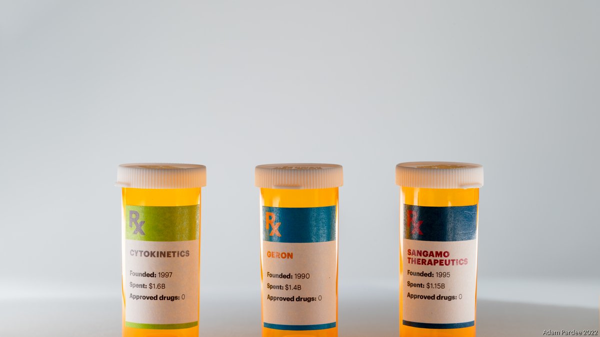 Cytokinetics, Geron and Sangamo Therapeutics have no drugs yet, but ...
