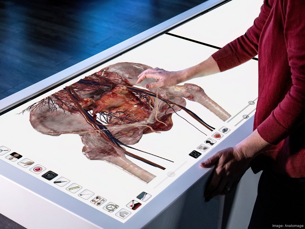 Anatomage Inc Surgical Training Anatomage
