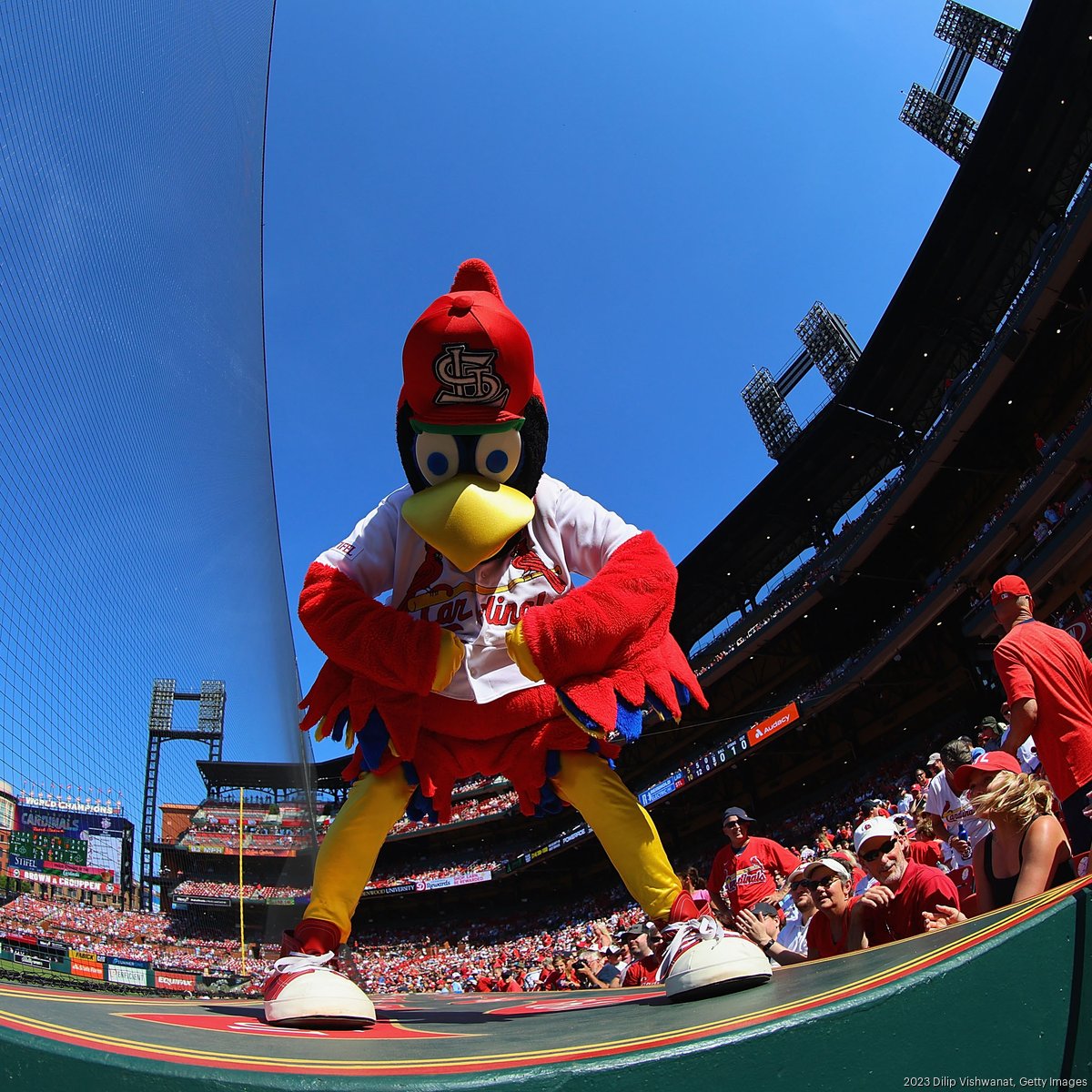 St. Louis Cardinals TV ratings down, attendance up as team reaches