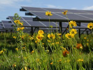 LG&E and KU —&nbsp;Utilities’ renewable energy partnerships add more solar energy to the grid —&nbsp;Client Submitted