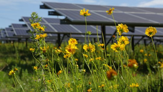 LG&E and KU —&nbsp;Utilities’ renewable energy partnerships add more solar energy to the grid —&nbsp;Client Submitted