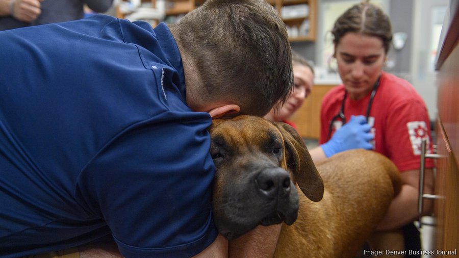 Denver store emergency vet