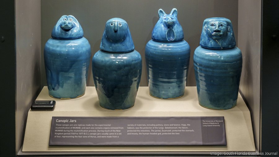 Mummies of the World: The Exhibition is now at the Phillip and