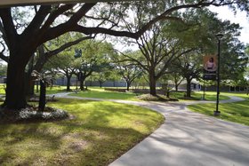 As community colleges face enrollment challenge, a powerful tool emerges in DEI