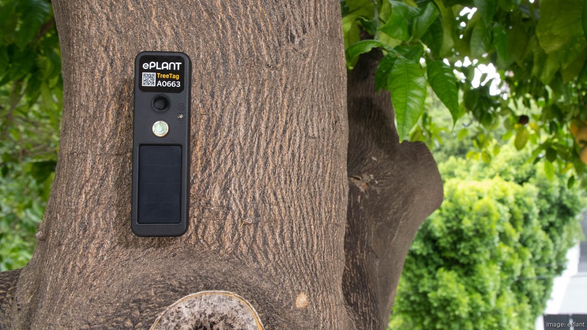 A startup wants to help people care for trees by 'talking' to them - The Business Journals