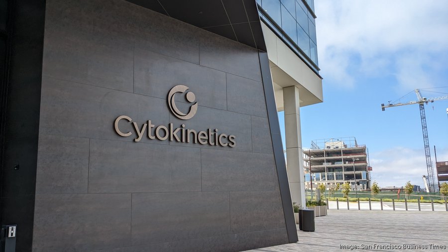 Cytokinetics Releases Fresh Data On Heart Failure Drug Aficameten With ...