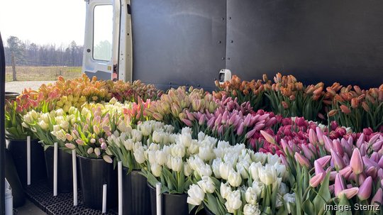 Stemz flower delivery van