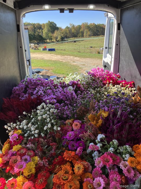 Stemz flower delivery van