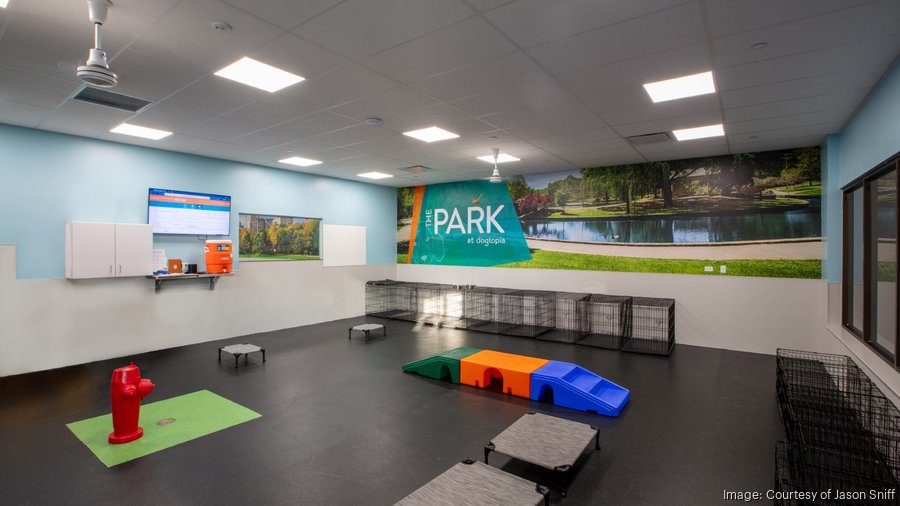 Dog daycare, overnight boarding and spa franchise Dogtopia open in