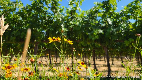 Agriculture Sustainability Winer