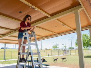 ASU research addresses rising temperatures at the dog park