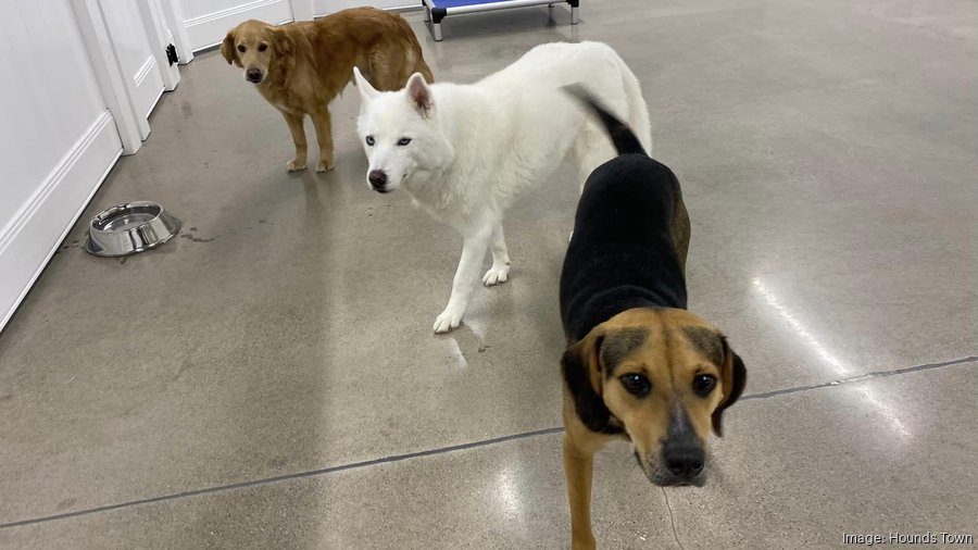 Permits Hounds Town coming to St. Johns County Jacksonville Business