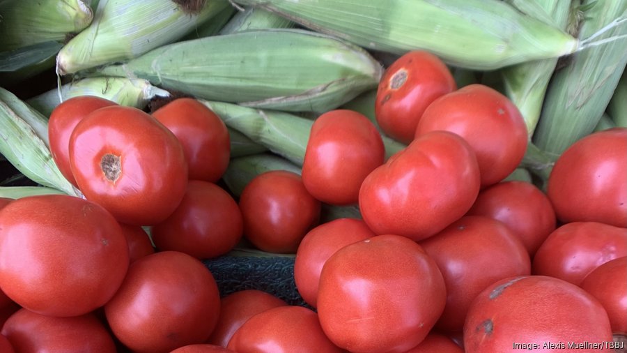 Plant City grape tomato producer lays off hundreds Tampa Bay Business
