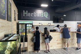 Herbal IQ weed dispensary opens in Depew