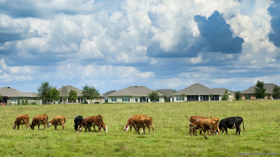 Florida rural land program draws applicants - Tampa Bay Business Journal