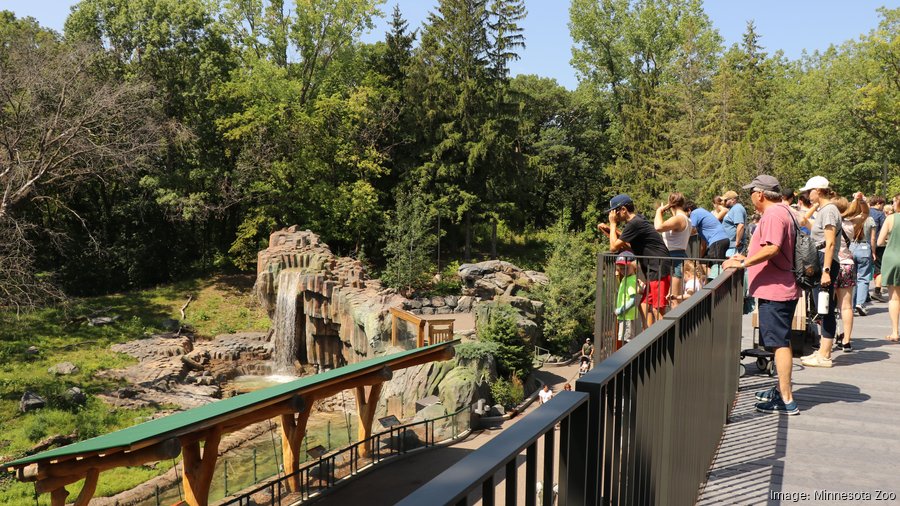 Minnesota Zoo opens 39 million Treetop Trail Minneapolis / St. Paul