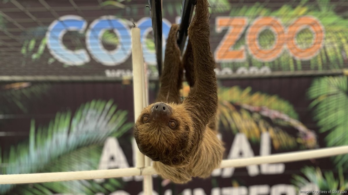 New Florida zoo attraction to open on International Drive in Orlando Jacksonville Business Journal