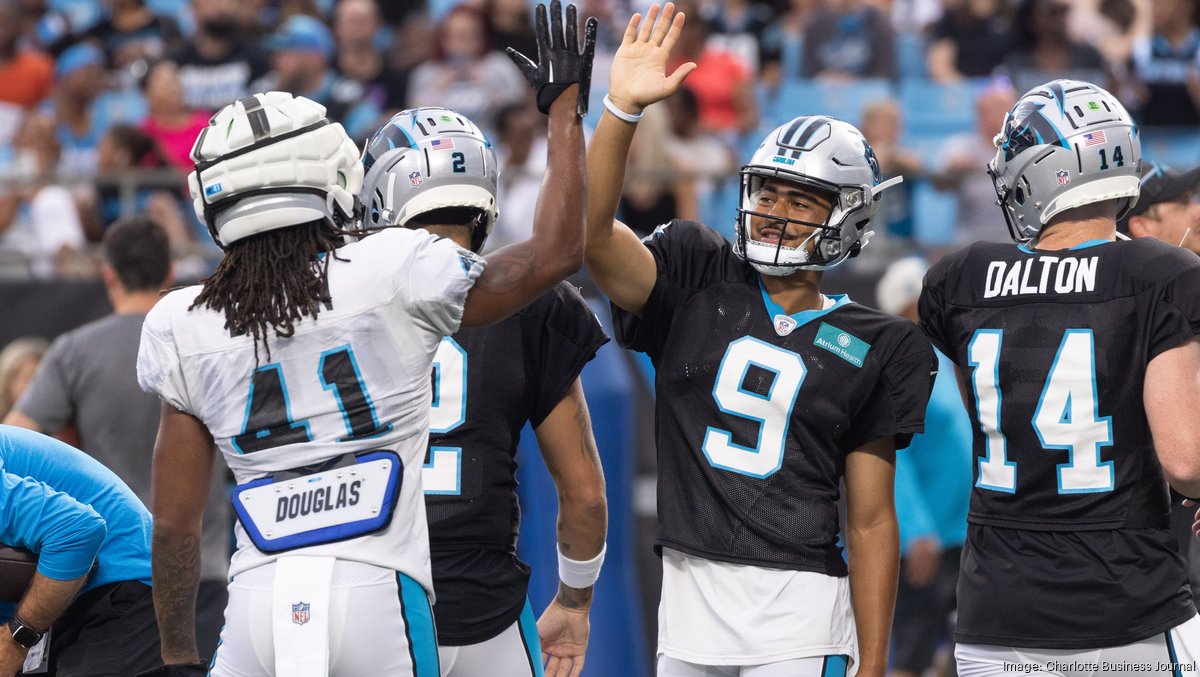 Carolina Panthers vs. Atlanta Falcons. Fans support on NFL Game