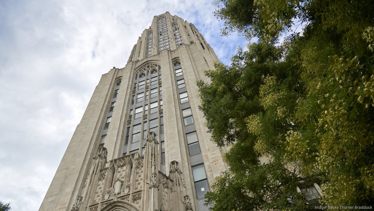 State Senate, House Pass Bill To Keep Funding For Pitt, Penn State Flat ...