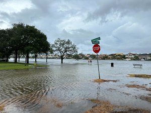 Davis Islands flooding Idalia