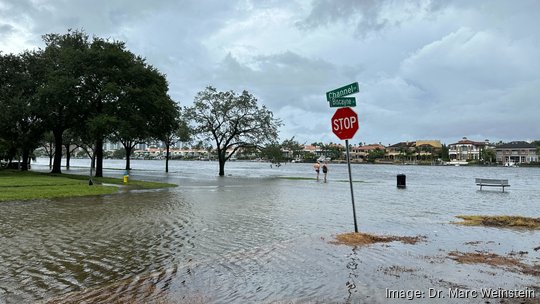 Davis Islands flooding Idalia