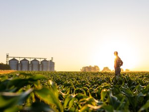 Farmer standing on corn field against sky