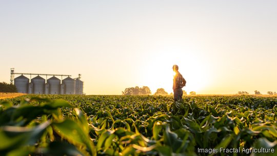 Farmer standing on corn field against sky