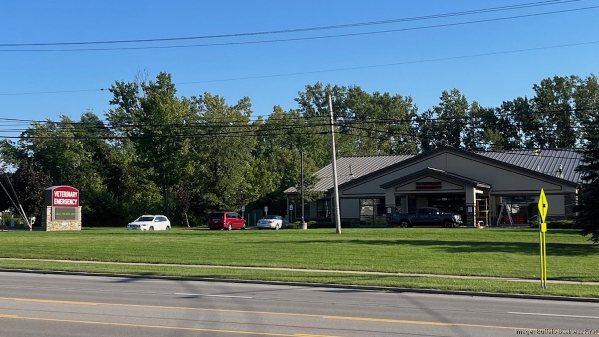 Buffalo store veterinary clinic