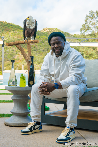 Kevin hart best sale jordan 1