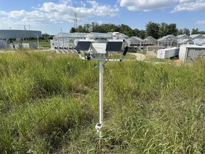 Phenode in the Prairie