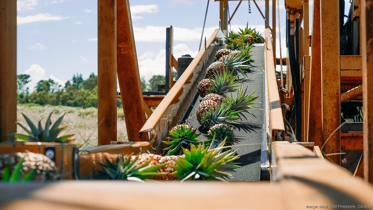 Maui Gold Pineapple partners with Amazon Air for mainland shipping ...