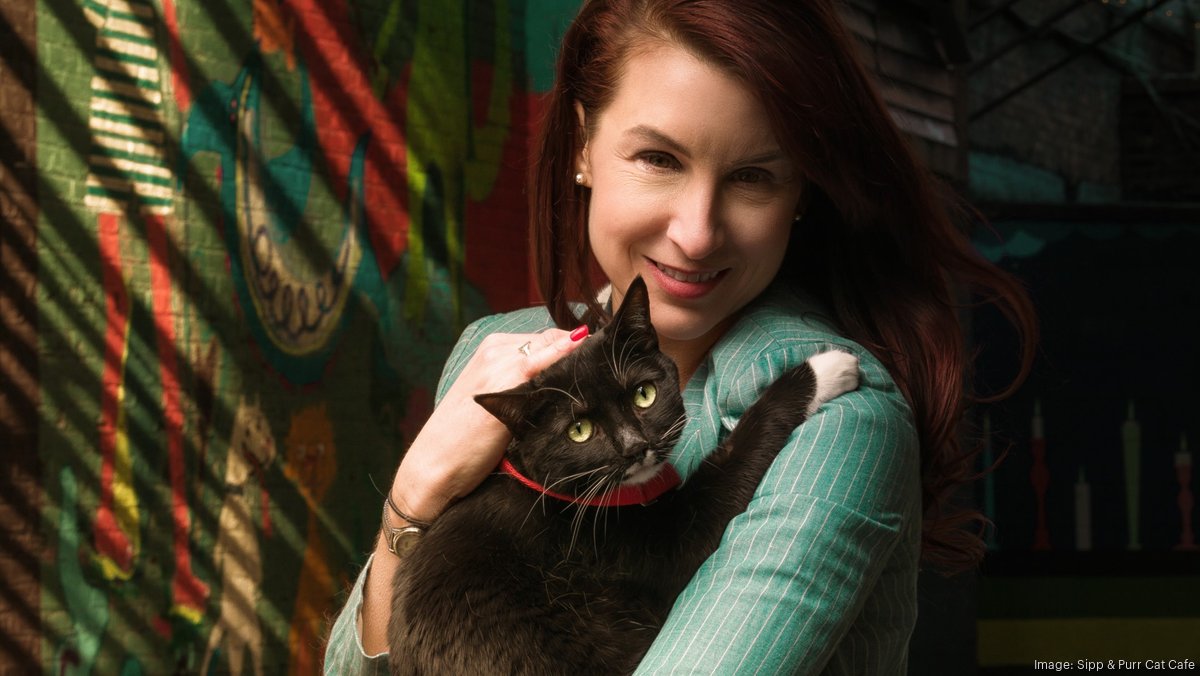 Sipp & Purr Cat Cafe expands with move to Brady Street Milwaukee