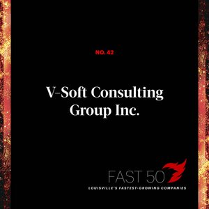 42. V-Soft Consulting Group Inc.