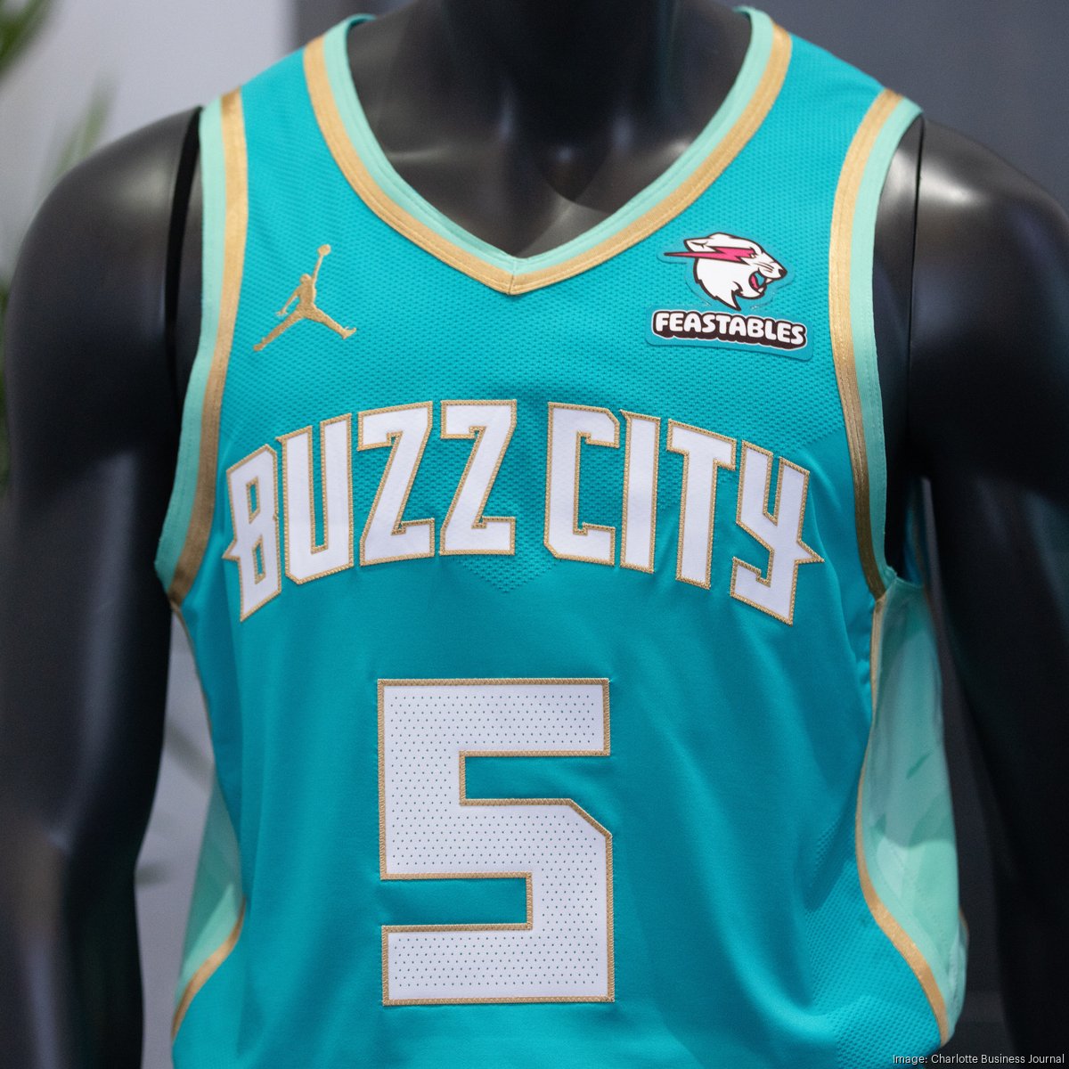 Hornets revisit U.S. Branch Mint theme for new 2023-24 City Edition  uniforms - CLTure