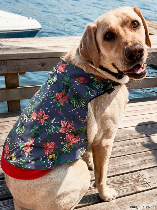 BostInno - CarGurus, EverQuote exec is now leading a dog apparel brand