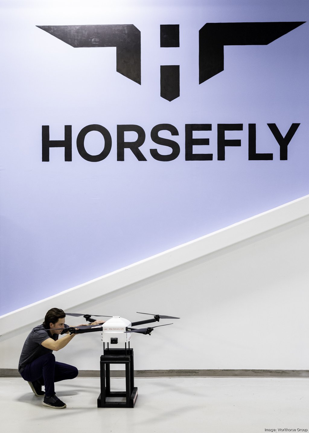 Horsefly workhorse store