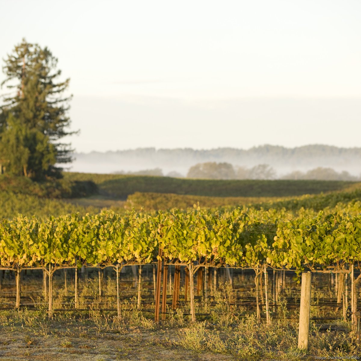 Evergreen - Homepage  Sonoma-Cutrer Vineyards